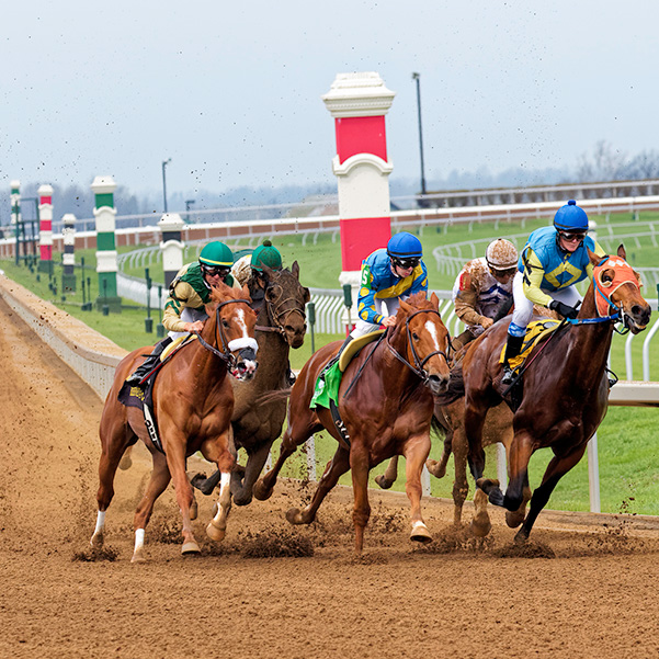 KENTUCKY HORSE RACING AND BOURBON TRAIL Adam Jones Photography